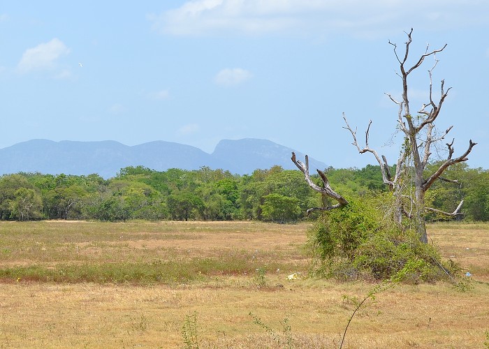 Srí Lanka 2017