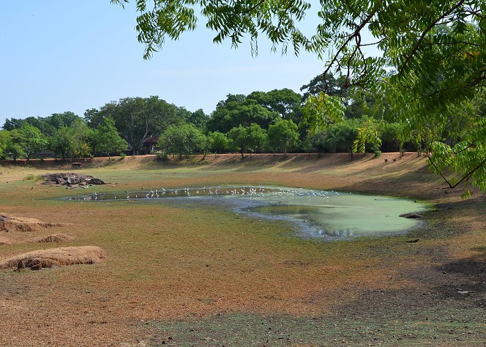 Srí Lanka 2017