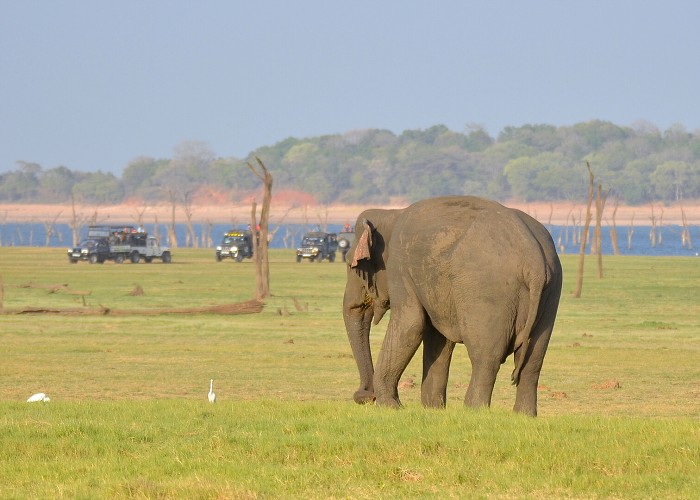 Srí Lanka 2017