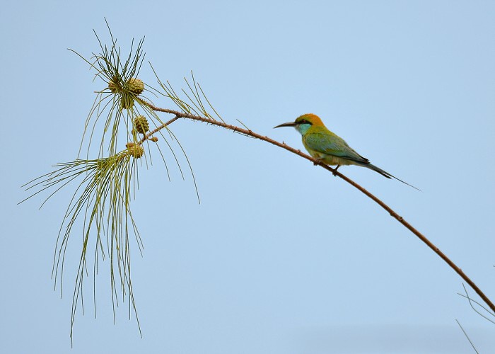 Srí Lanka 2017