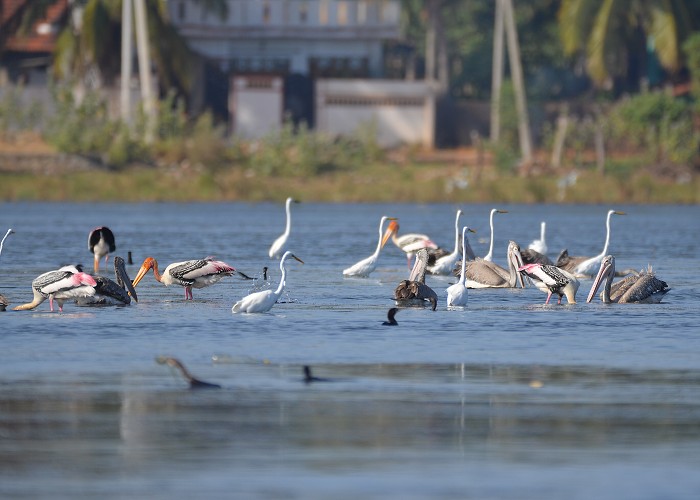 Srí Lanka 2017