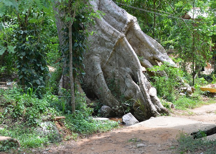 Srí Lanka 2017