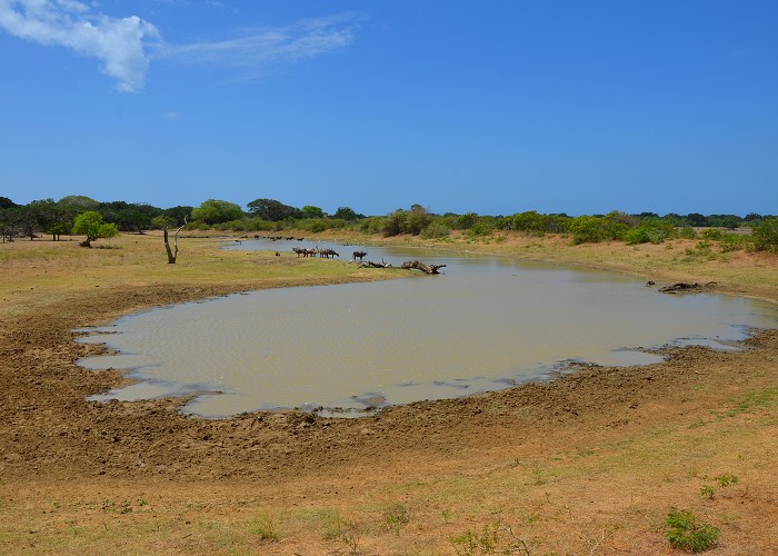 Srí Lanka 2017