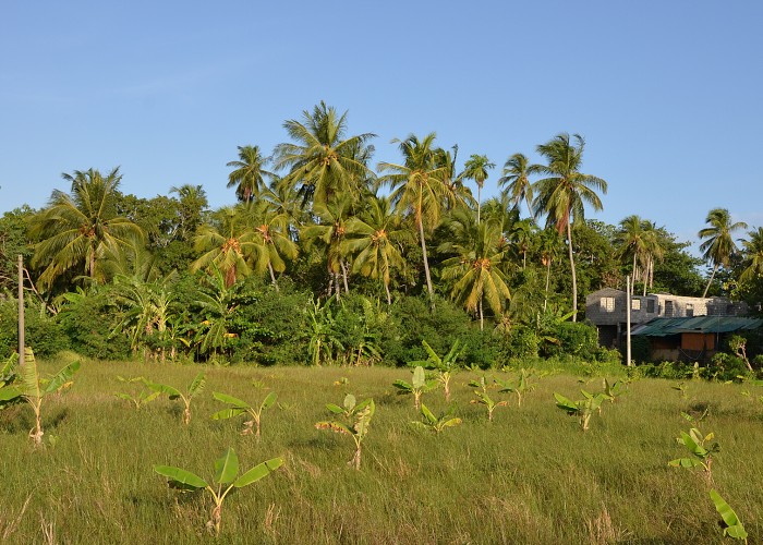 Srí Lanka 2017