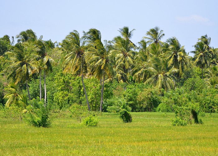 Srí Lanka 2017