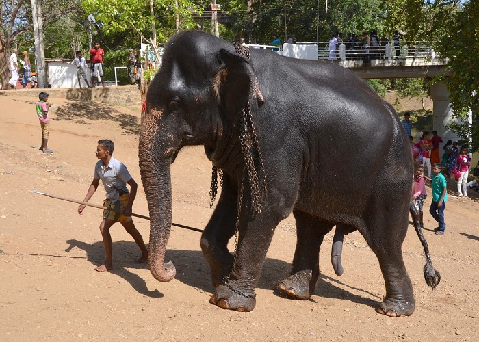 Srí Lanka 2017