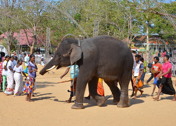 Srí Lanka 2017