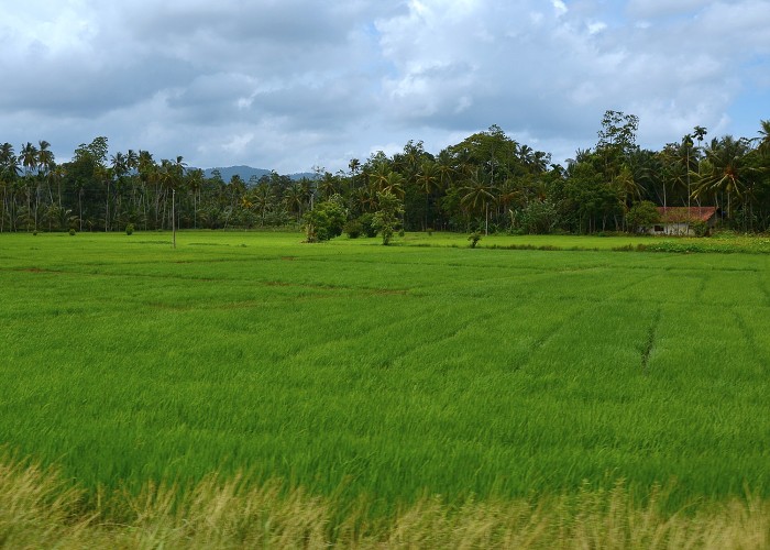 Srí Lanka 2017